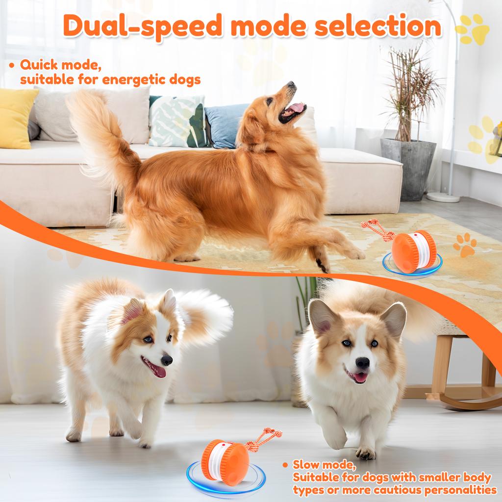 Interactive Dog Toy 2 Speed Mode Moving Cat Dog Toy with Rope Motion Activated Automatic Moving Pet Toy Ball Pet Supplies