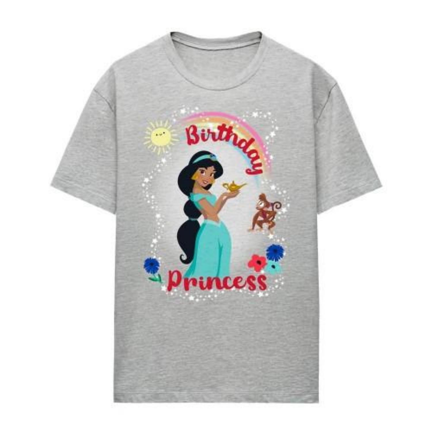 aladdin Womens_Ladies Birthday Princess Jasmine Abu Heather T-Shirt S