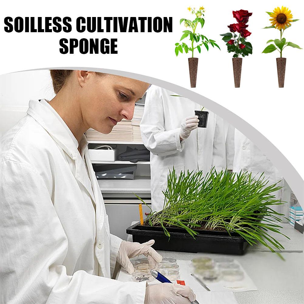 50Pcs Seed Grow Sponges Replacement Root Growth Pods Hydroponic Seedling Starter Plugs For AeroGarden Indoor Garden Planting