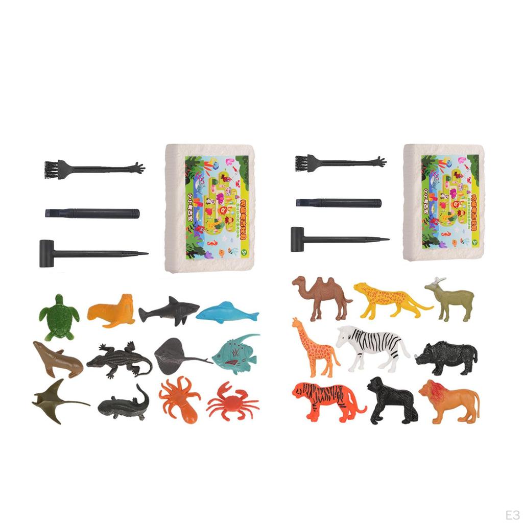 Archaeology Discovery Excavation Kits Stem Activities DIY Digging Toys for Children