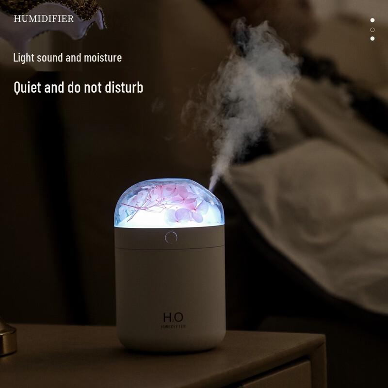 Jun Kiss Mini Humidifier with Ambient Light