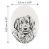 Leonberger - commemorative plaque with a photo of a dog, tombstone with a print, personalized oval plaque from the Art-Dog brand