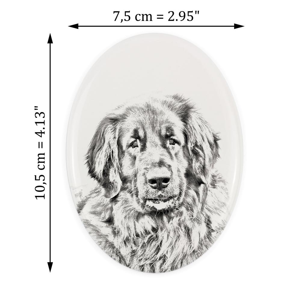 Leonberger - commemorative plaque with a photo of a dog, tombstone with a print, personalized oval plaque from the Art-Dog brand