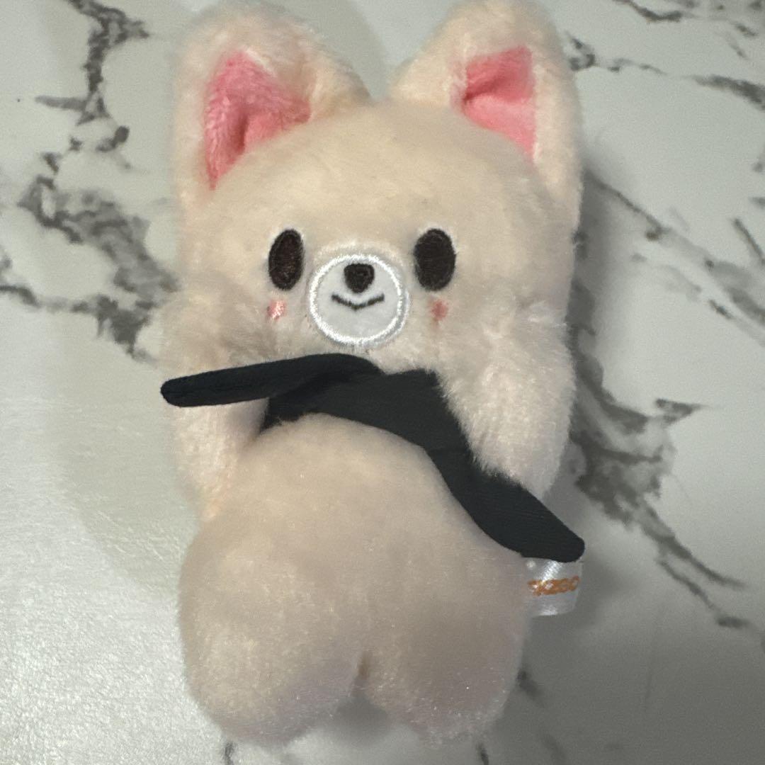 

[USED] Straykids Ien Plush Keychain 10cm