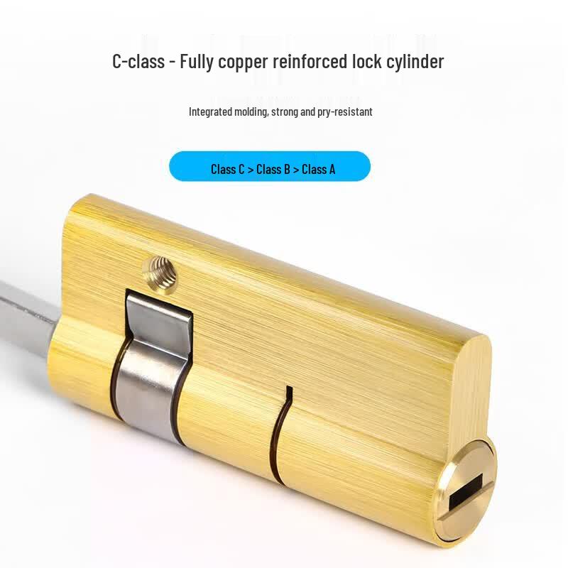 ZUCONF895 Smart Facial Recognition Fingerprint Door Lock CN plug (adapter included)