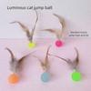 Interactive Elastic Ball Toy for Cats And Dogs Funny Feather Football Plaything Kitten Kitty Doggy Pet Supplies