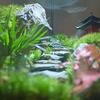 25/50pcs 5cm Small Natural Slate Rocks for Water Feature Design Fish Tanks Planters Garden DIY Aquariums Reptile Cage Decoration