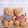 Sweater Teddy Bear Doll Sweater Bear Plush Toy Pillow Doll Event Gift Birthday Gift