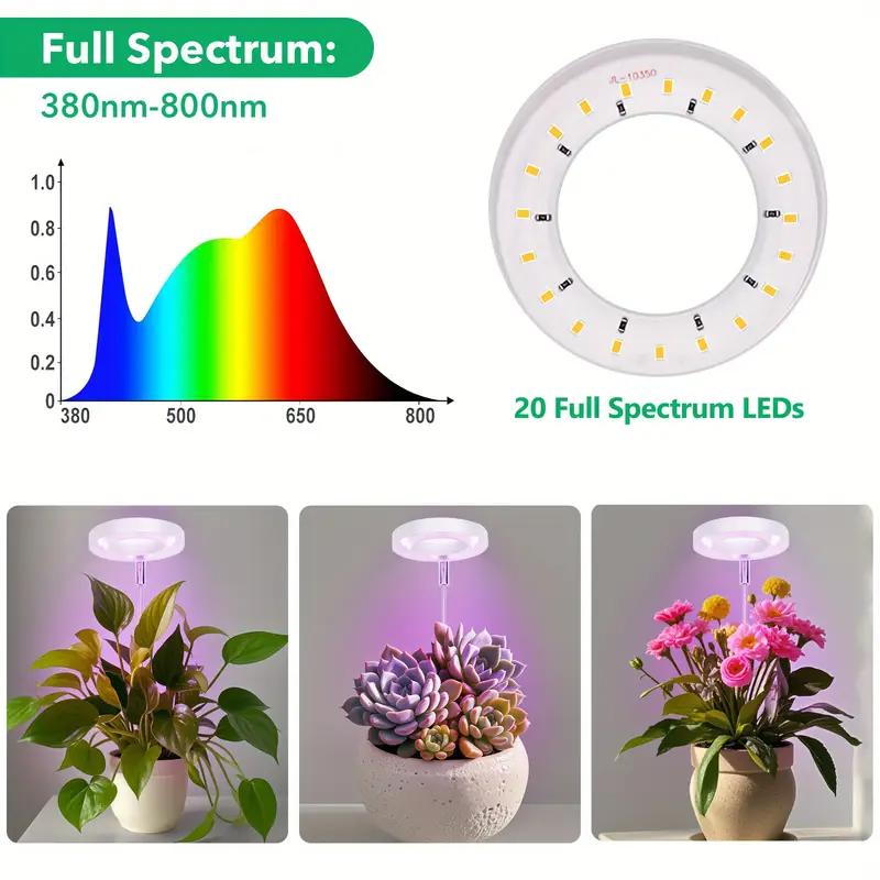 Verstellbare LED-Pflanzenlampe 2/4/8H Ein/Aus-Timer Vollspektrum Schreibtischlampe für Zimmerpflanzen Höhenverstellbare Gartendekoration