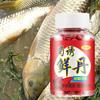 1/2/3/4 Bottles Fishing Scented Lure Particle Long Lasting Flavor Carp Bass Fishing Hook Bait Ball Freshwater Saltwater Universal Fishing Accessories