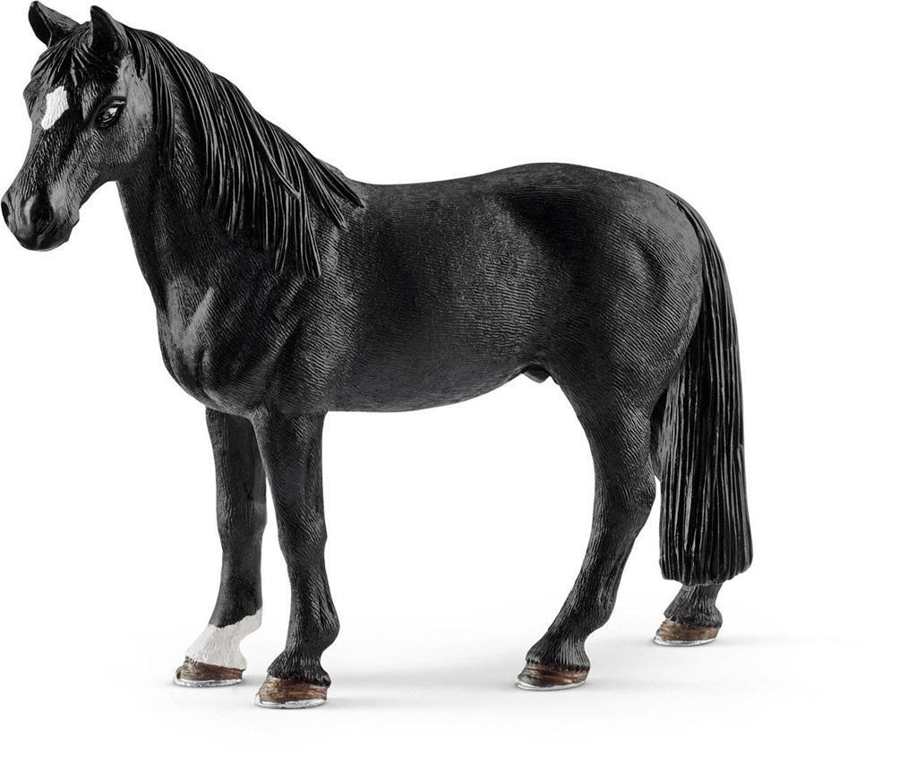 Wałach Rasy Tennessee Walker