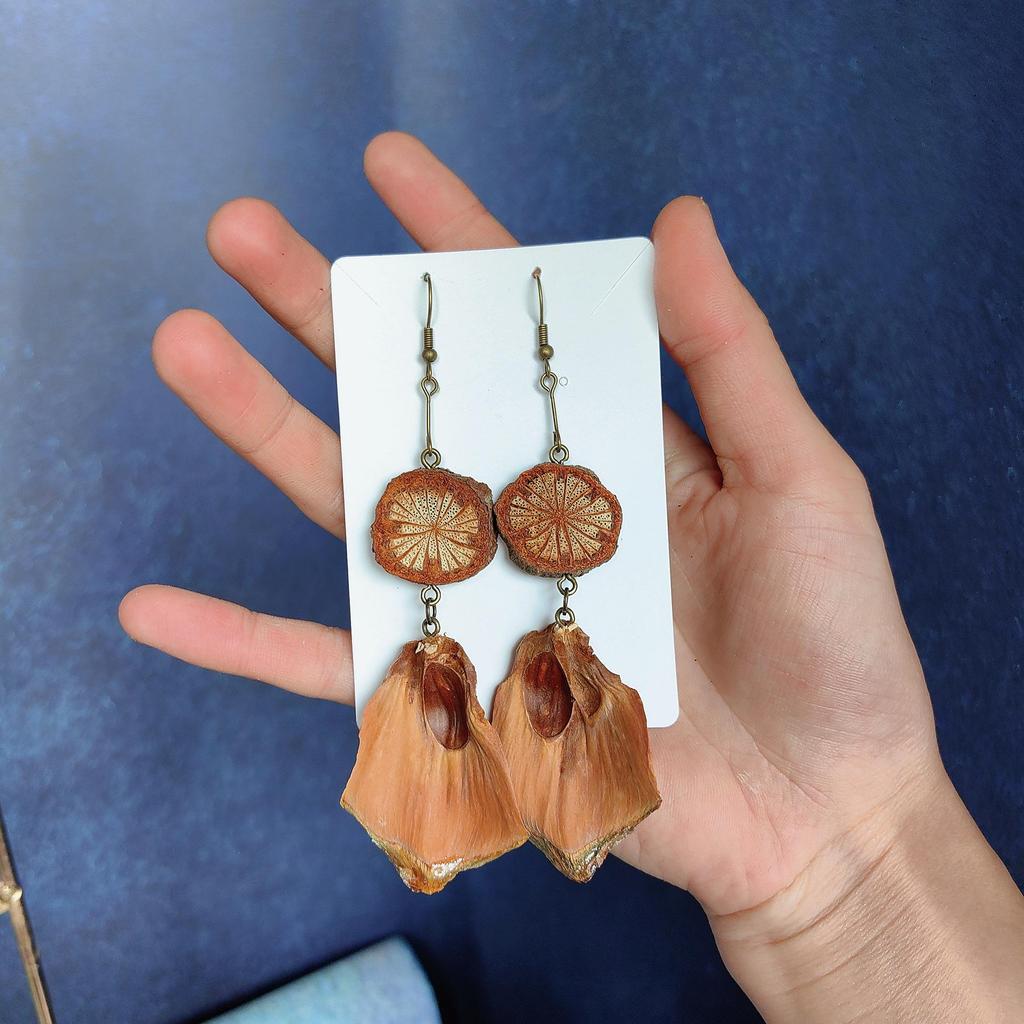 Fruit Earrings - Handmade Natural Dried Fruit Earrings, Retro Chinese Medicine Ethnic Style, for Women.
