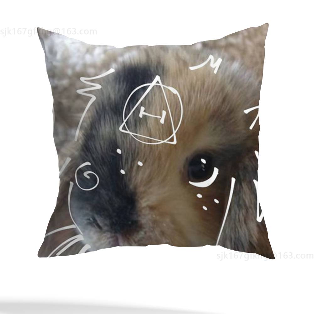 Nuova Federa Cuscino Simbolo Delta Therian Quadrata Stampa Double-Sided Peluche Corto Copricuscino Divano Camera da Letto Comodino