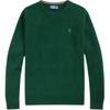 Polo Embroidered Pattern Long Sleeve Crew Neck Sweater Men Sweater 710974148-006