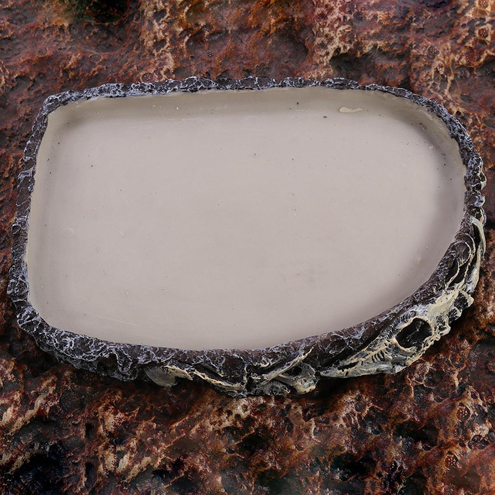 

Рептилия Водная миска Террариум Легко чистящаяся кормушка для лягушки бородатой