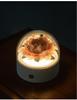 Porcelain Peony Eternal Flower Night Light Ornament with Aromatherapy
