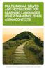 Grāmata Multilingual Selves and Motivations for Learning Languages Other Than English In Asian Contexts