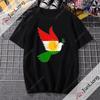 T-shirt Kurdistan Manica corta casual moda larga hip hop Unisex Harajuku Y2K abbigliamento neutro Retro comodo top abbigliamento