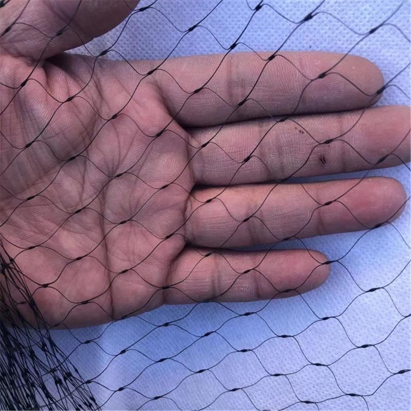 Thick Bird Exclusion Net Plant Orchards Fruit Protecting Meshes Reusables Garden Bird Net Protects Fruits Vegetables