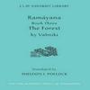 Ramayana Book Three by Valmiki Hardback Book 9780814767221
