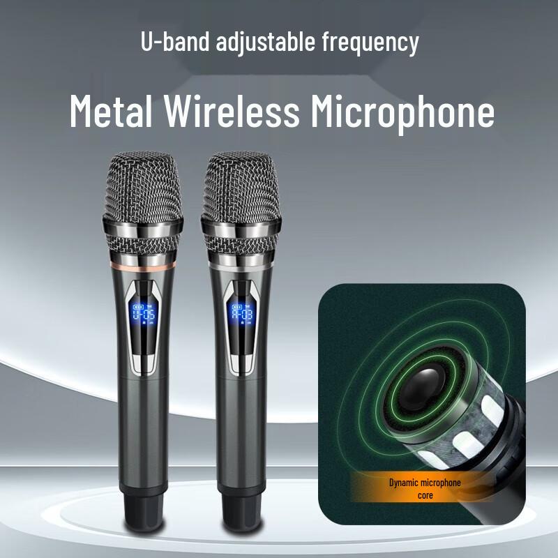 SANSUI Outdoor Portable KTV Trolley Speaker