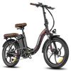 Fafrees F20+ Pro Folding Electric Bike, 250W Motor, 36V 22.5Ah Battery, 20*3.0 inch Tires