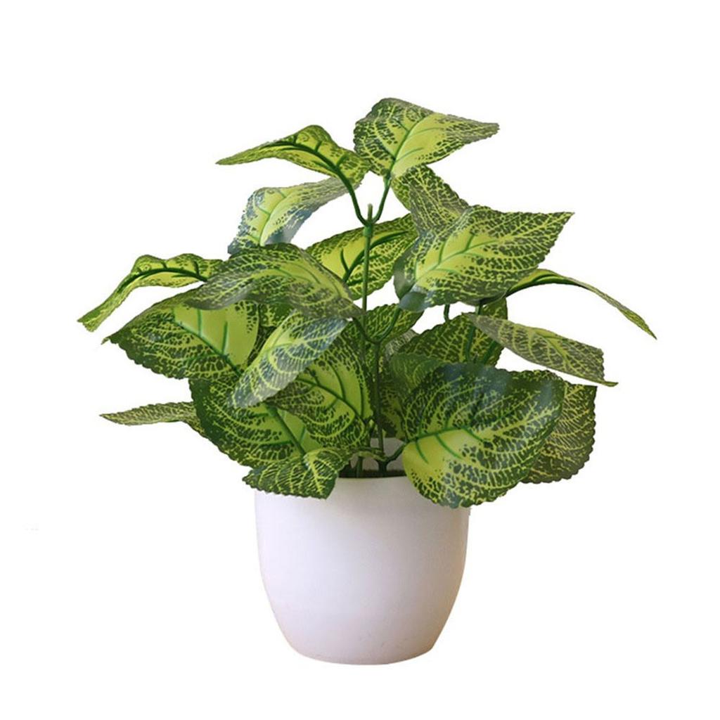 Flower Foliage  Potted Bonsai Office Decor