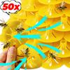 Insectes – Apiculture