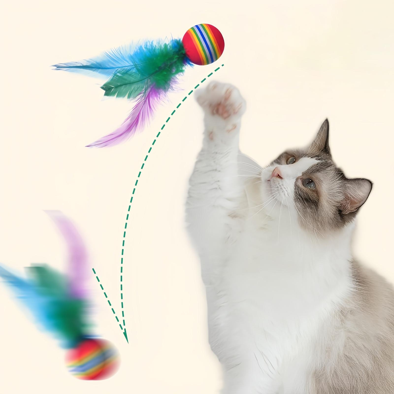 

PET SHOW Pack Of Toys Balls Soft EVA Foam With Feathers Colorful Toy Balls Interactive S Small Dogs Puppies Doggies Quiet Indoo One Size