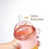 630ML Straw Cup with Lid and Straw Portable Large Capacity Coffee Milk Tea Cup Ins Style Water Cup for Office Workers Juice Mug