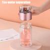 Glass Infuser Bottle Double Wall Tea Tumbler Insulated Loose Leaf Tea Brewer Hot And Cold Drinks Bottle for Home Office