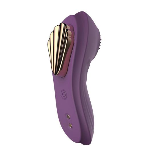 Fernbedienbarer Vibrator Magnetisch Tragbare Vibrationshöschen Mehrere Vibrationsmodi Silikon Klitoris Vagina Stimulator mit Weichen Borsten für Frauen