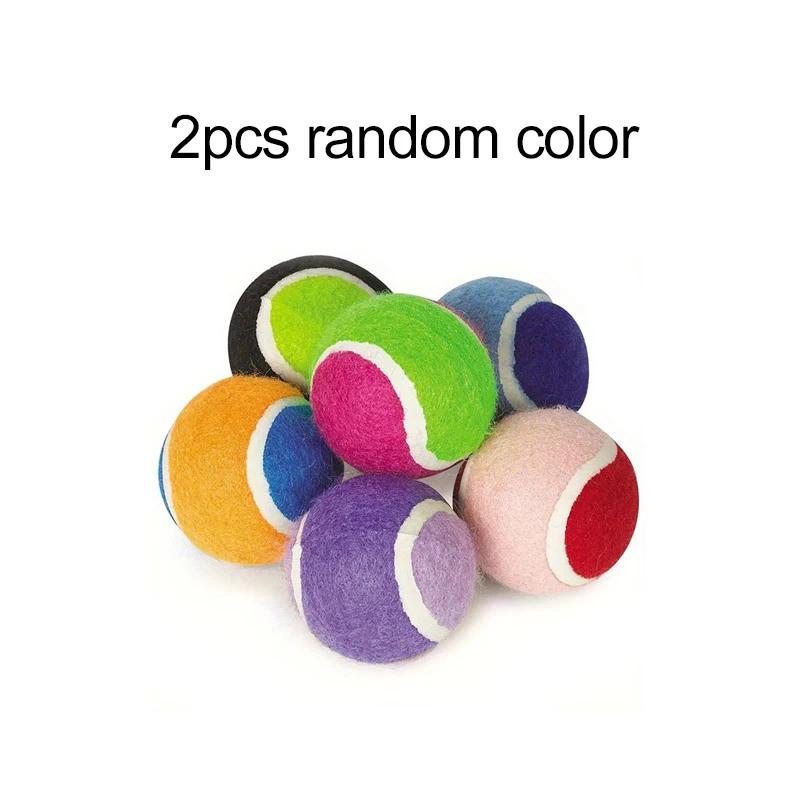 TMZ Hard Ball Dog Chew Toys 2 Pack Tough Chewing Balls for Small Dogs Puppy Teething Training Interactive Pet Dental Toys
