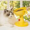 Adjustable Height Pet High Footed Bowl Non-Slip Pet Reward Bowl Cartoon Dog Feeding Bowl  Household