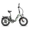 FAFREES FF20 Polar Electric Bicycle 500W Motor, 48V 26.8Ah Batter, 100KM Range, 20*4.0 Inch Fat Tires E-Bike