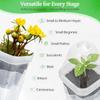 Self Watering Pots 12pcs 2inch Clear Plant Pots with Humidity Dome Adjustable Vent and 150ml Reservoir for Seedlings Propagation