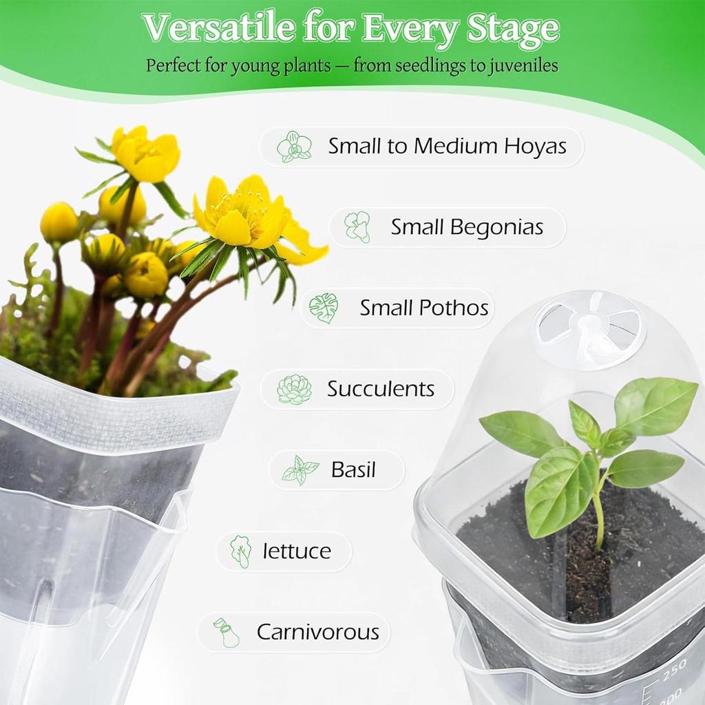 Self Watering Pots 12pcs 2inch Clear Plant Pots with Humidity Dome Adjustable Vent and 150ml Reservoir for Seedlings Propagation