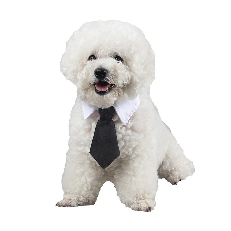 Cross-Border Foreign Trade Amazon Pet Cat Tie British Gentleman Wedding Bow Tie Accessories Cute Red Black