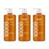 Shampoo Protein Clinic High-Nutrient 1000ml X 3 (30322385)