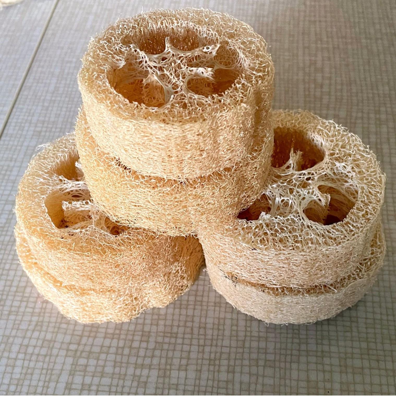 Loofah Soap Dish for Bathroom Vanity - Loofah Pulp Soap Base Diameter 3-5 cm