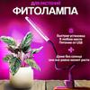 5V Світлодіодна лампа для вирощування рослин Повний спектр Червоний та Синій Фіто лампа для росту В приміщенні USB Фітолампа Для рослин Квітів Розсади Теплиці Фітолампи