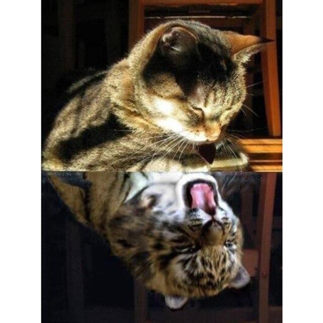 5D DIY Dog Diamond Painting Animal Cartoon Full Drill Square Round Tiger Cat Diamond Art Embroidery Cross Stitch Home Decoration