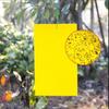 20Pcs Strong Fly Traps Bugs Sticky Board Dual-Sided Catching Aphid Insect Pest Control Whitefly Thrip Leafminer Glue Sticker