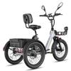 Triciclo Eléctrico de Carga FAFREES F20 Mate II para Personas Mayores, Batería Extraíble de 48V 25Ah, Cestas Delantera y Trasera