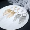 Korean Version of Zircon Exaggerated Women's European and American Metal Long Fringed Earrings Fashion Studs Earrings Jewelry