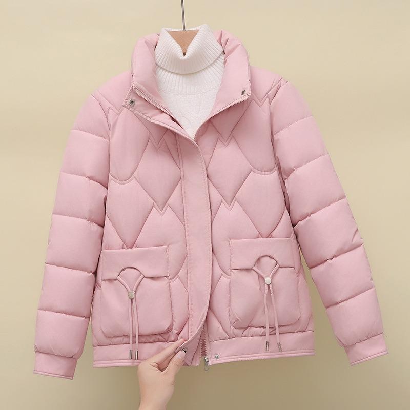Winter down padded clothes women's casual versatile stand-up collar new small padded jacket thin short padded jacket