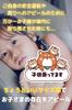 [Aqteria] Car Car Sticker Kids In Car Magnet (Large) Shiba