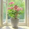 Weather Resistant Iron Garden Art Suitable For Lawn Decoration Outdoor Flower Bed Stakes Landscape Design Plant Support