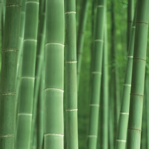 Towa Sangyo BCS Bamboo Charcoal Shoe Box Sheets, Made In Japan, Black, Approx. 30 X 270 Cm, Set of 5, 54261