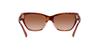 Sunglasses HC8370F CH660 PINK PINK GRADIENT Lens 56 [Coach] TORTOISE/TRANSPARENT Frame/BROWN